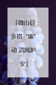 微山县：多措“廉”动 清风护安
