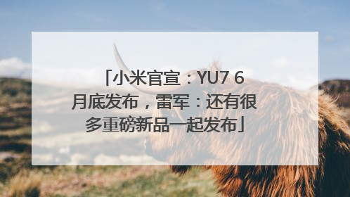 小米官宣：YU7 6月底发布，雷军：还有很多重磅新品一起发布