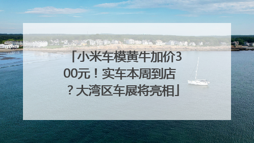 小米车模黄牛加价300元！实车本周到店？大湾区车展将亮相