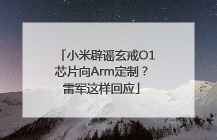 小米辟谣玄戒O1芯片向Arm定制？雷军这样回应
