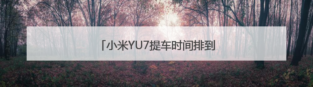 小米YU7提车时间排到一年后 友商趁机抢订单
