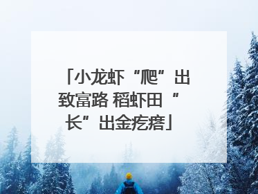 小龙虾“爬”出致富路 稻虾田“长”出金疙瘩