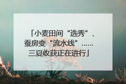 小麦田间“选秀”、蚕房变“流水线”……三夏收获正在进行