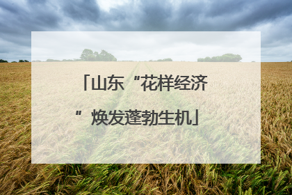 山东“花样经济”焕发蓬勃生机