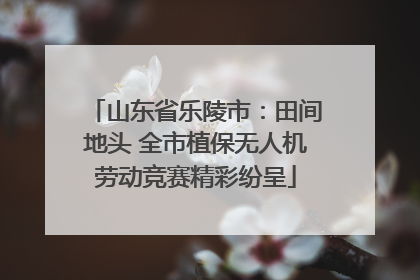 山东省乐陵市：田间地头 全市植保无人机劳动竞赛精彩纷呈