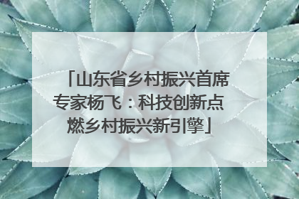 山东省乡村振兴首席专家杨飞：科技创新点燃乡村振兴新引擎