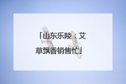 山东乐陵：艾草飘香销售忙