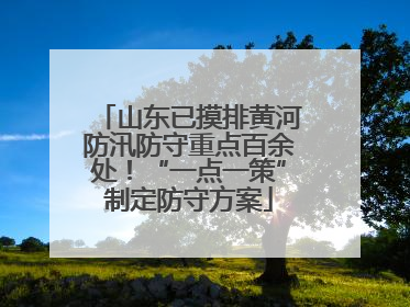 山东已摸排黄河防汛防守重点百余处！“一点一策”制定防守方案
