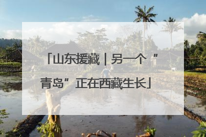 山东援藏｜另一个“青岛”正在西藏生长