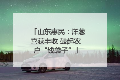 山东惠民：洋葱喜获丰收 鼓起农户“钱袋子”