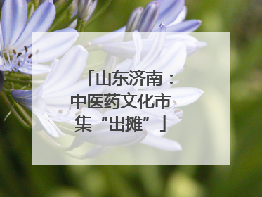山东济南：中医药文化市集“出摊”