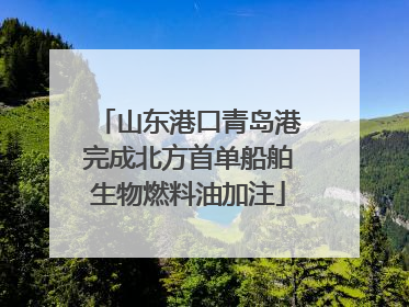 山东港口青岛港完成北方首单船舶生物燃料油加注