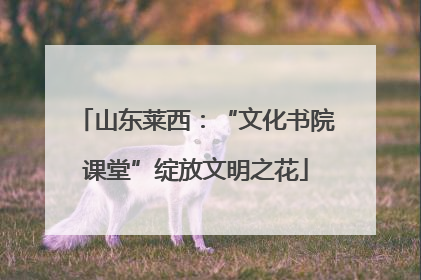 山东莱西：“文化书院课堂”绽放文明之花