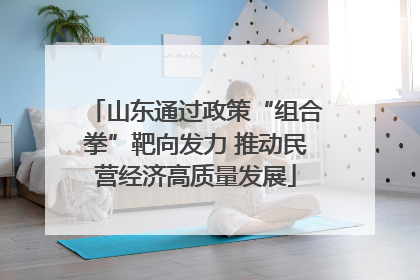 山东通过政策“组合拳”靶向发力 推动民营经济高质量发展