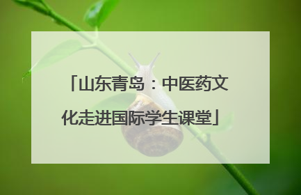 山东青岛：中医药文化走进国际学生课堂