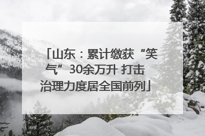 山东：累计缴获“笑气”30余万升 打击治理力度居全国前列