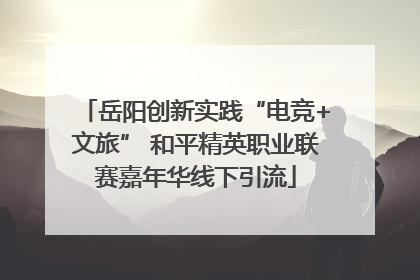 岳阳创新实践“电竞+文旅” 和平精英职业联赛嘉年华线下引流