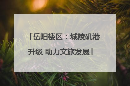 岳阳楼区：城陵矶港升级 助力文旅发展