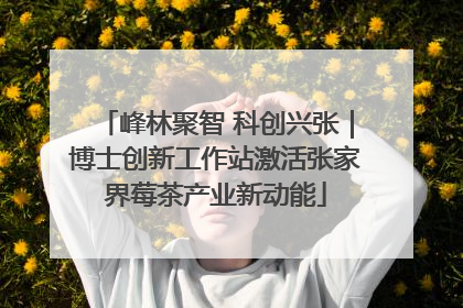 峰林聚智 科创兴张｜博士创新工作站激活张家界莓茶产业新动能