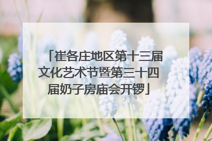 崔各庄地区第十三届文化艺术节暨第三十四届奶子房庙会开锣