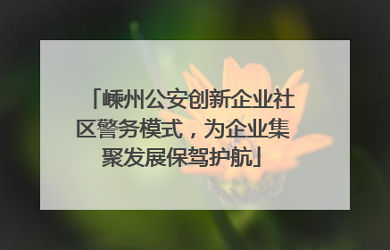 嵊州公安创新企业社区警务模式，为企业集聚发展保驾护航