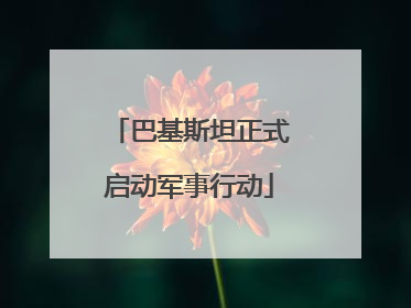 巴基斯坦正式启动军事行动