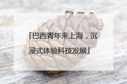 巴西青年来上海，沉浸式体验科技发展