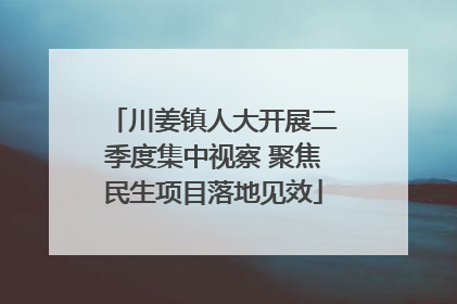 川姜镇人大开展二季度集中视察 聚焦民生项目落地见效