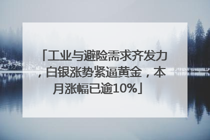 工业与避险需求齐发力，白银涨势紧逼黄金，本月涨幅已逾10%