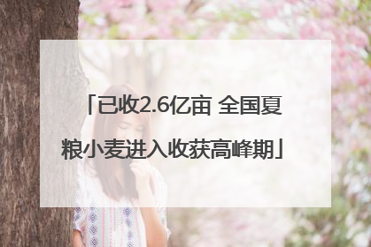 已收2.6亿亩 全国夏粮小麦进入收获高峰期