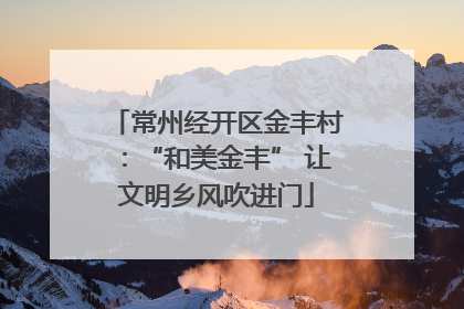 常州经开区金丰村：“和美金丰” 让文明乡风吹进门