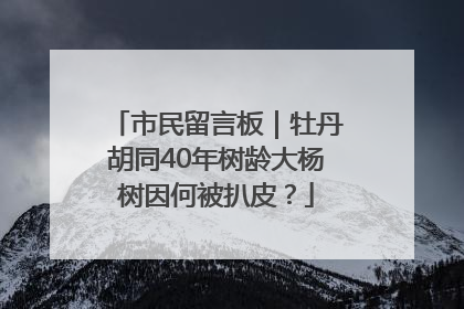 市民留言板｜牡丹胡同40年树龄大杨树因何被扒皮？