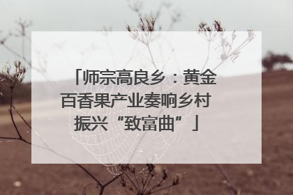 师宗高良乡：黄金百香果产业奏响乡村振兴“致富曲”