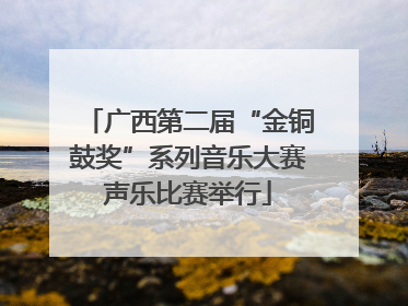 广西第二届“金铜鼓奖”系列音乐大赛声乐比赛举行