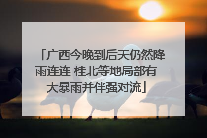 广西今晚到后天仍然降雨连连 桂北等地局部有大暴雨并伴强对流
