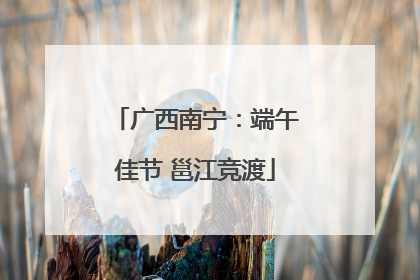 广西南宁：端午佳节 邕江竞渡