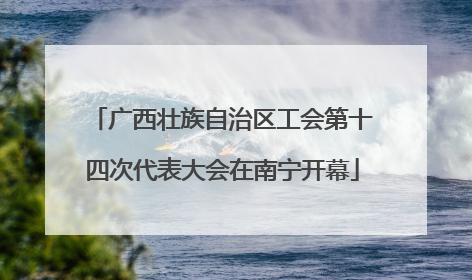 广西壮族自治区工会第十四次代表大会在南宁开幕