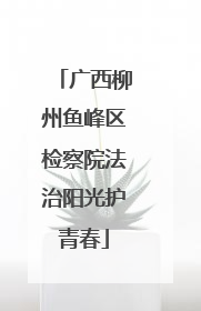 广西柳州鱼峰区检察院法治阳光护青春