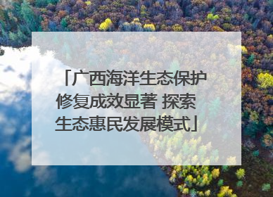 广西海洋生态保护修复成效显著 探索生态惠民发展模式