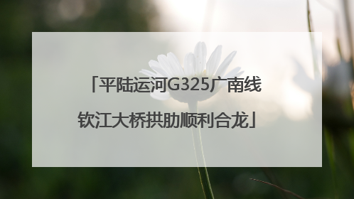 平陆运河G325广南线钦江大桥拱肋顺利合龙