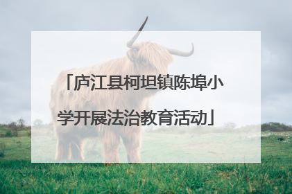 庐江县柯坦镇陈埠小学开展法治教育活动