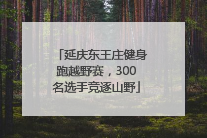 延庆东王庄健身跑越野赛，300名选手竞逐山野