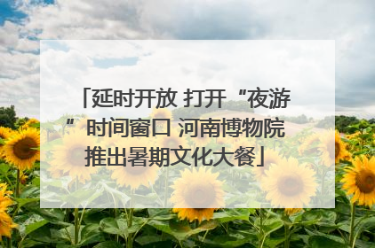 延时开放 打开“夜游”时间窗口 河南博物院推出暑期文化大餐