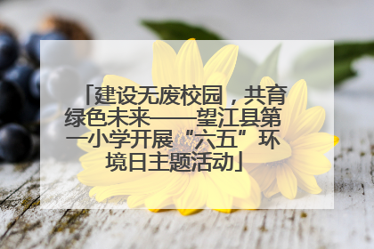 建设无废校园，共育绿色未来——望江县第一小学开展“六五”环境日主题活动