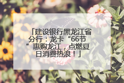 建设银行黑龙江省分行：龙卡“66节”惠购龙江，点燃夏日消费热浪！