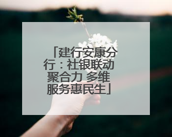 建行安康分行：社银联动聚合力 多维服务惠民生