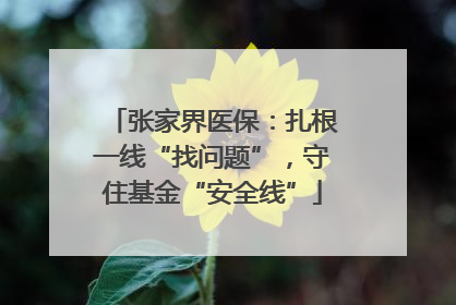 张家界医保：扎根一线“找问题”，守住基金“安全线”