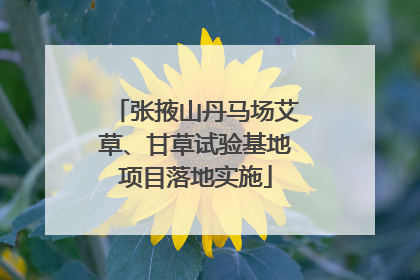 张掖山丹马场艾草、甘草试验基地项目落地实施