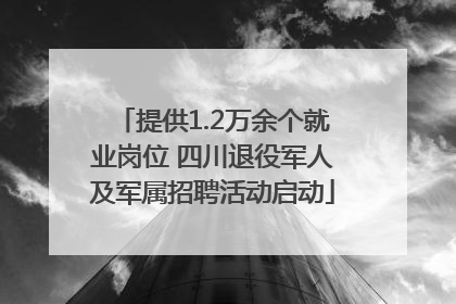 提供1.2万余个就业岗位 四川退役军人及军属招聘活动启动