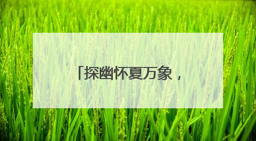 探幽怀夏万象，深耕知行沃土——北京市建华实验学校四年级部夏季自然空间课程纪实